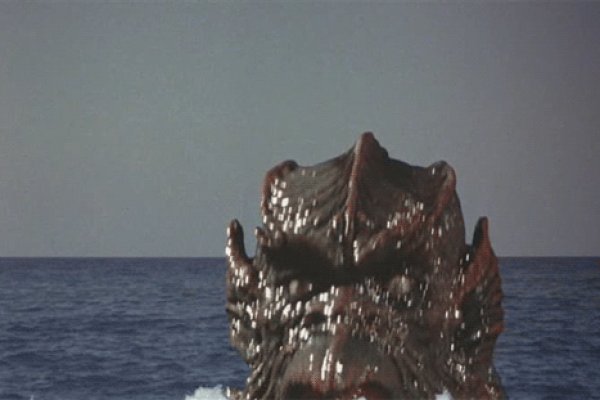 Kraken 18