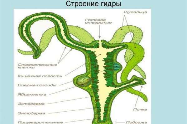 Ссылка на кракен