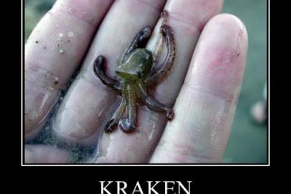 Hydra kraken