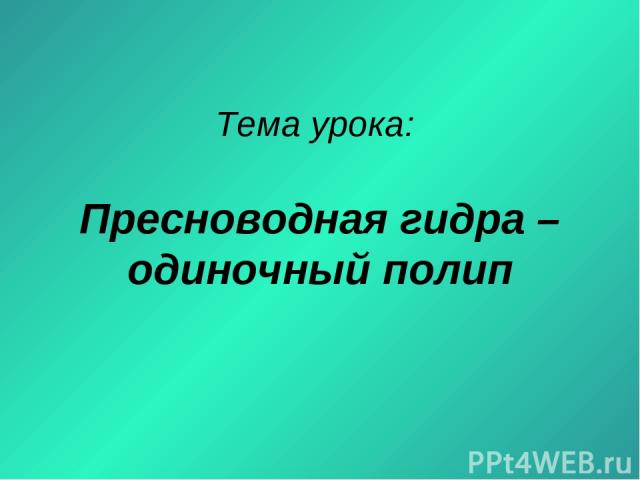 Кракен 2krnk