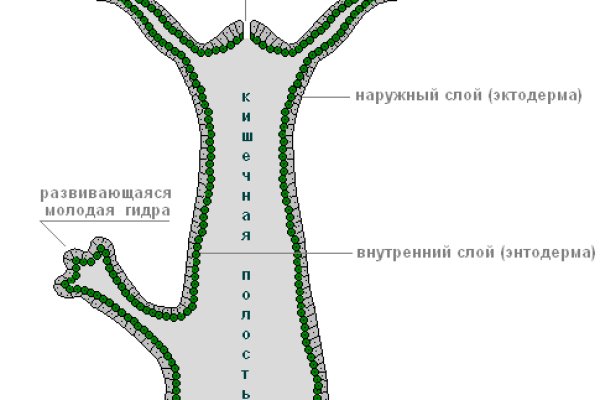 Kraken 2025 ссылка